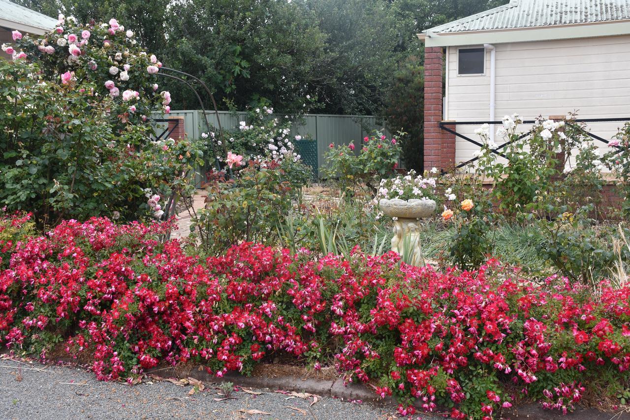 Mount Barker Valley Views Motel & Chalets, Western Australia Exterior photo